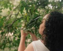 Pequenas pausas para lembrar dos desejos